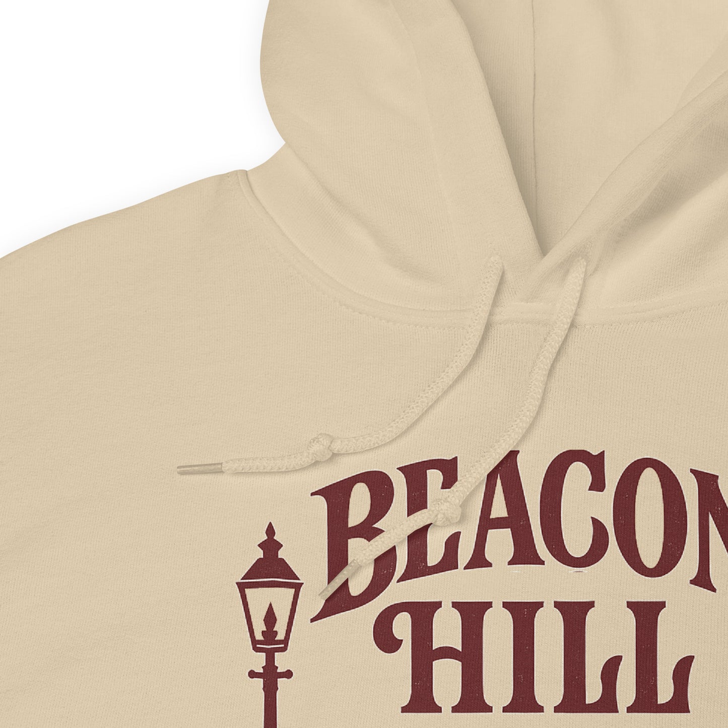 Beacon Hill Hoodie | Classic Boston Warmth