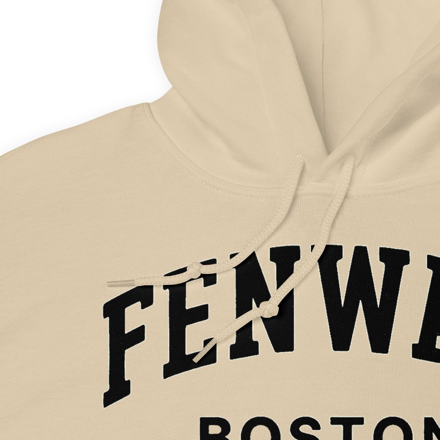 Fenway Boston Hoodie