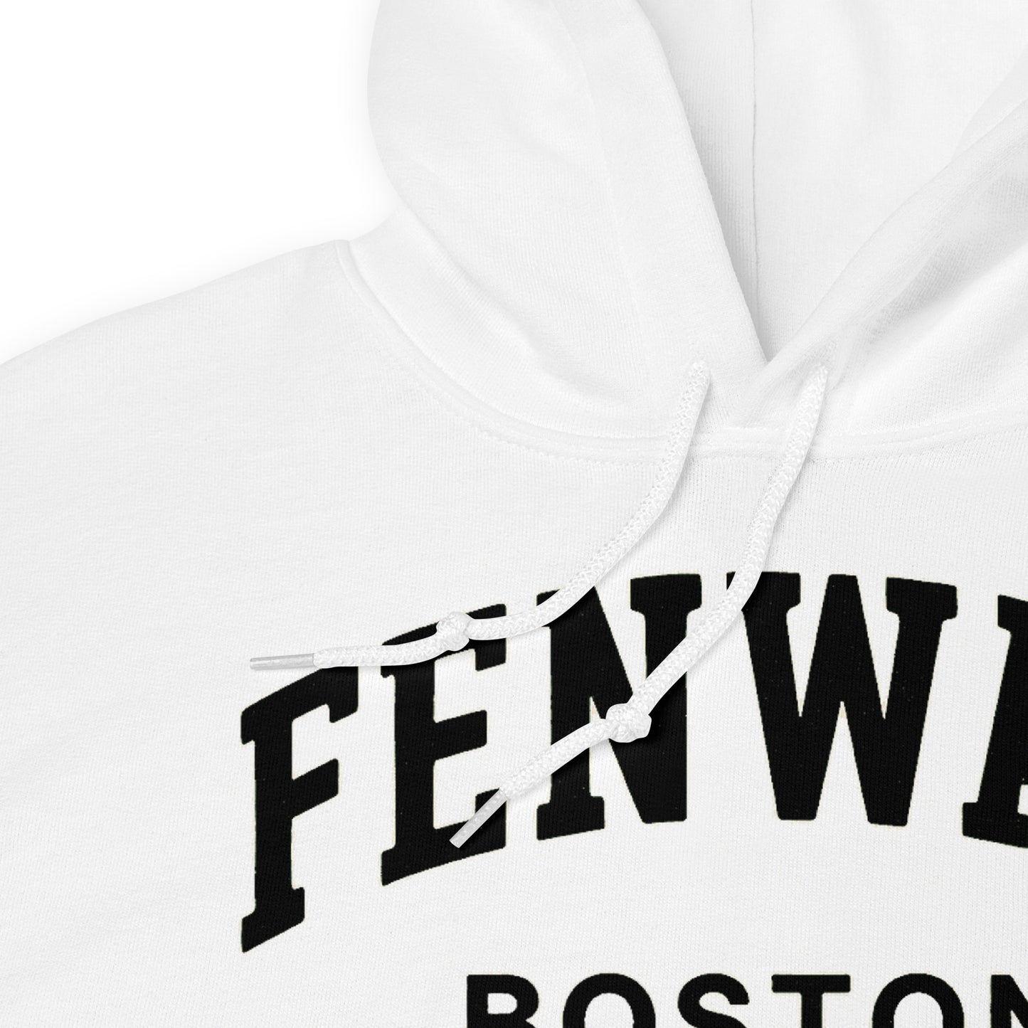 Fenway Boston Hoodie