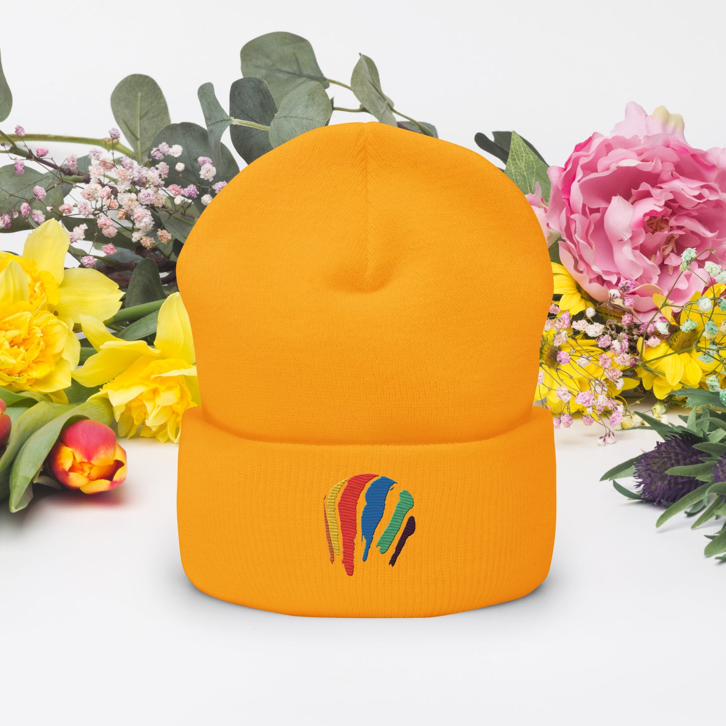 Dot Swash Cuffed Beanie | Boston Gas Tank Edition