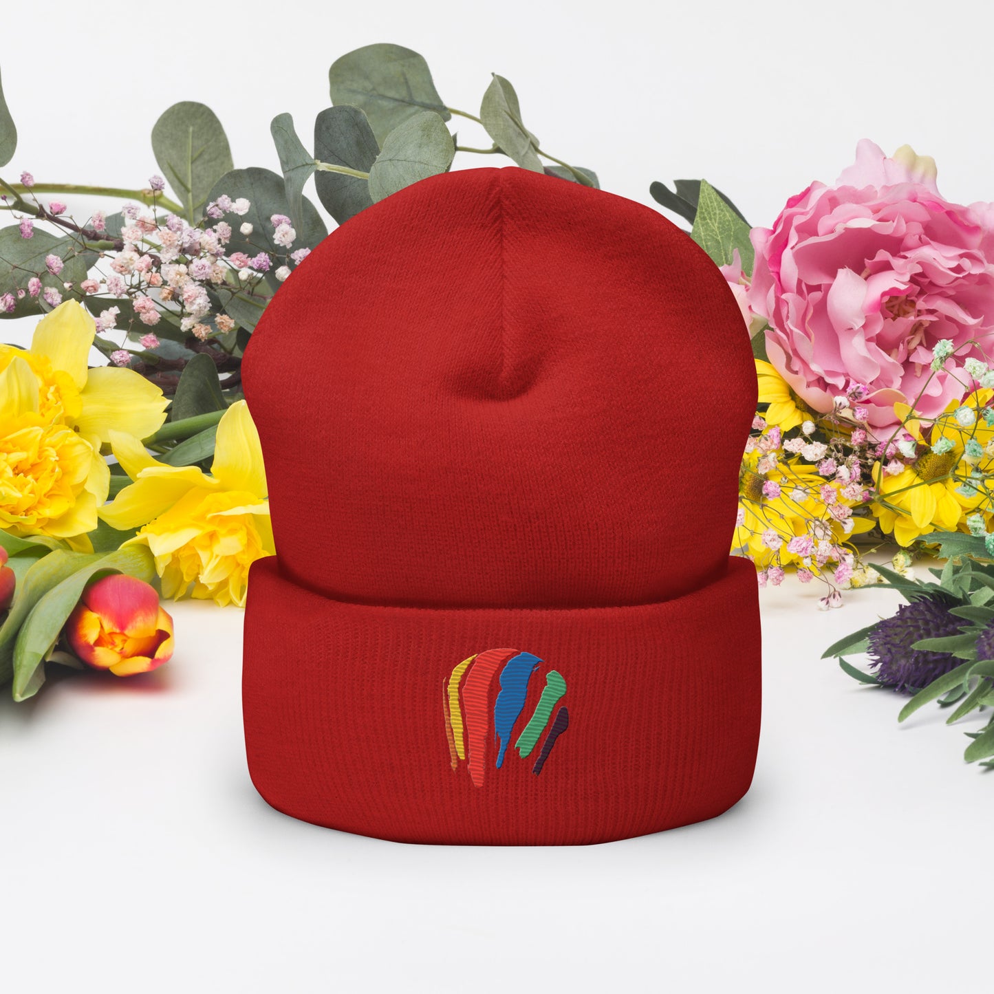 Dot Swash Cuffed Beanie | Boston Gas Tank Edition